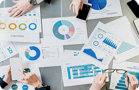 자체 개발 기술력